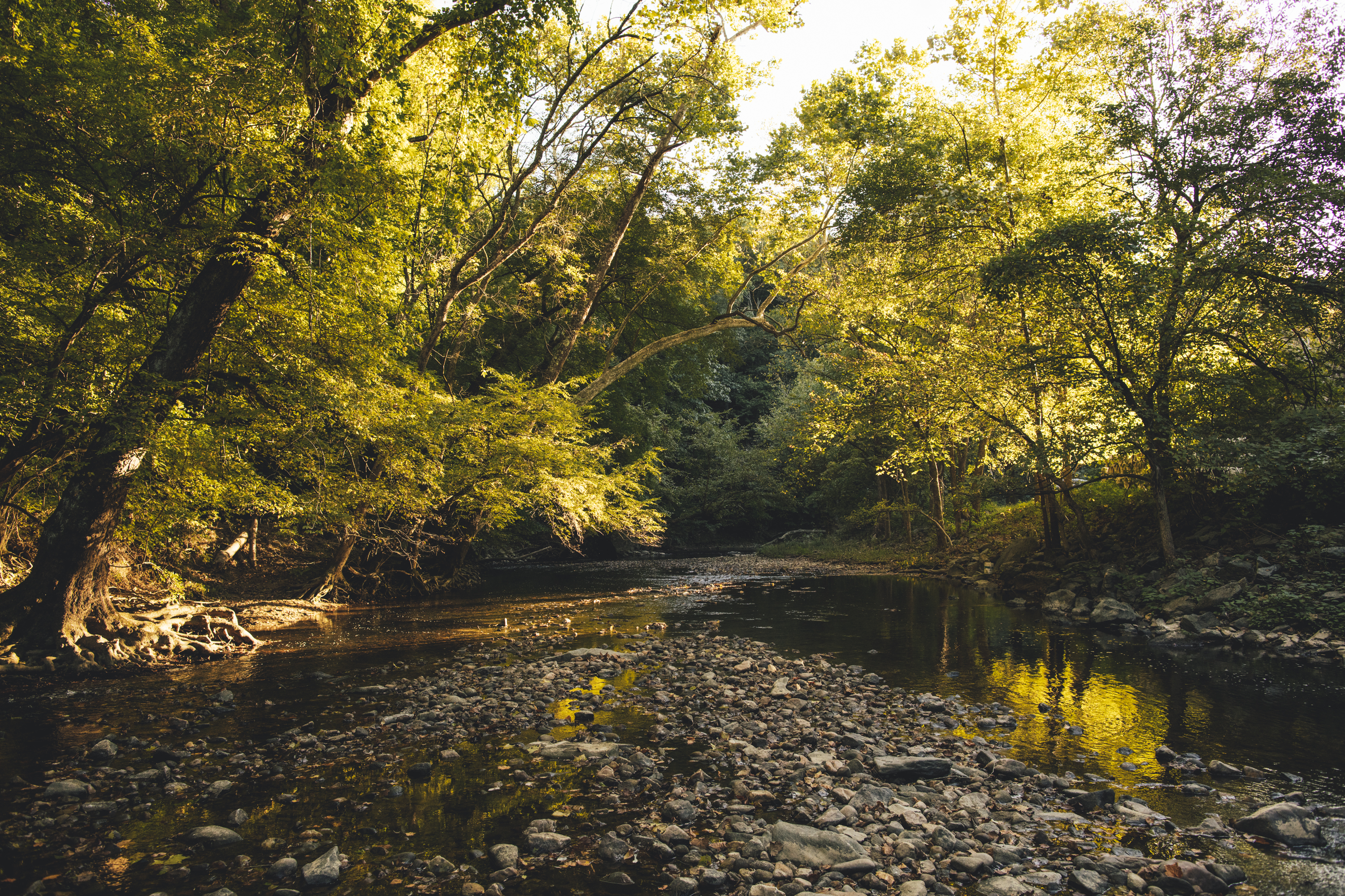 Rock Creek Park DC