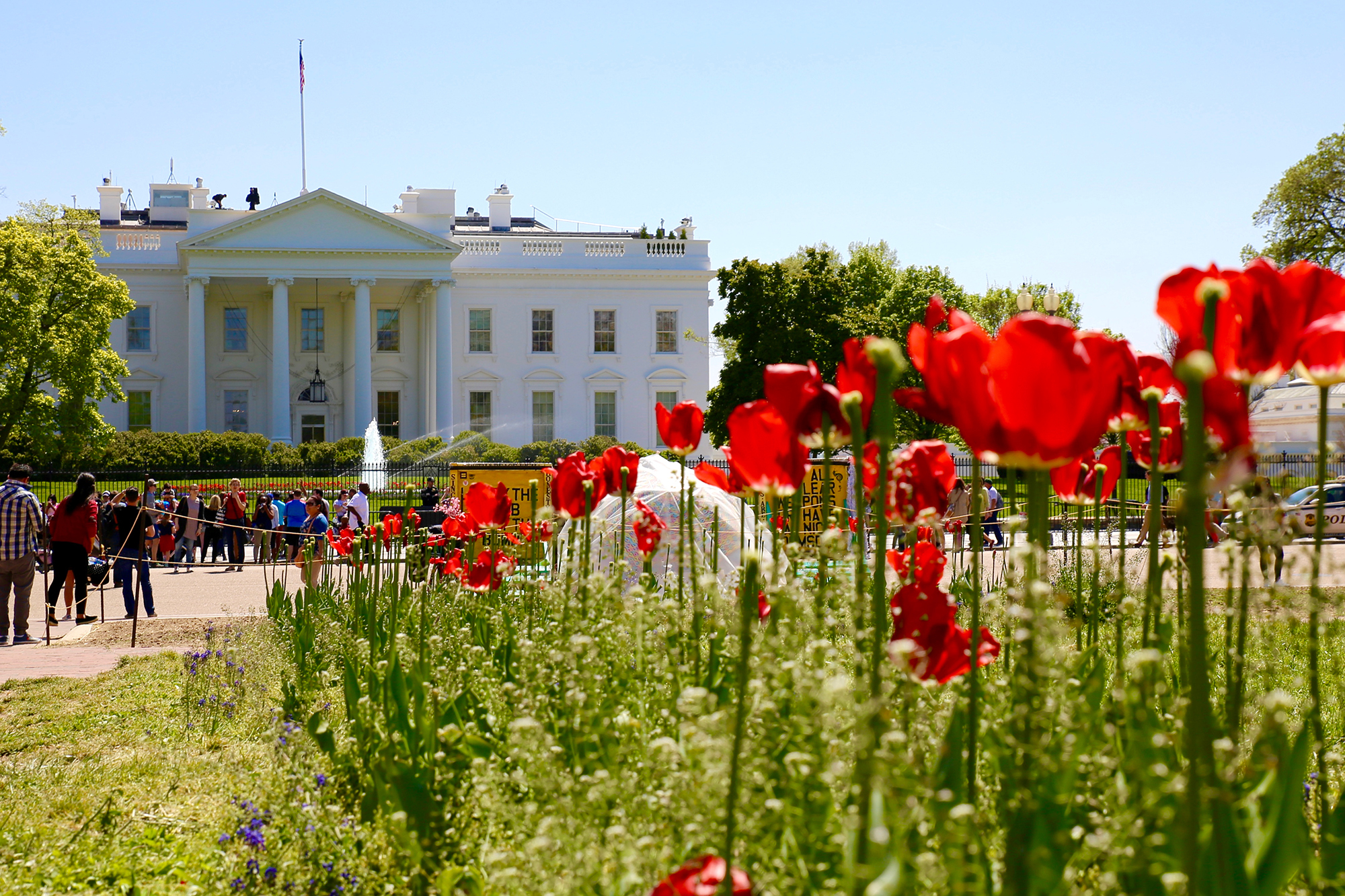 Casa Bianca con i tulipani davanti