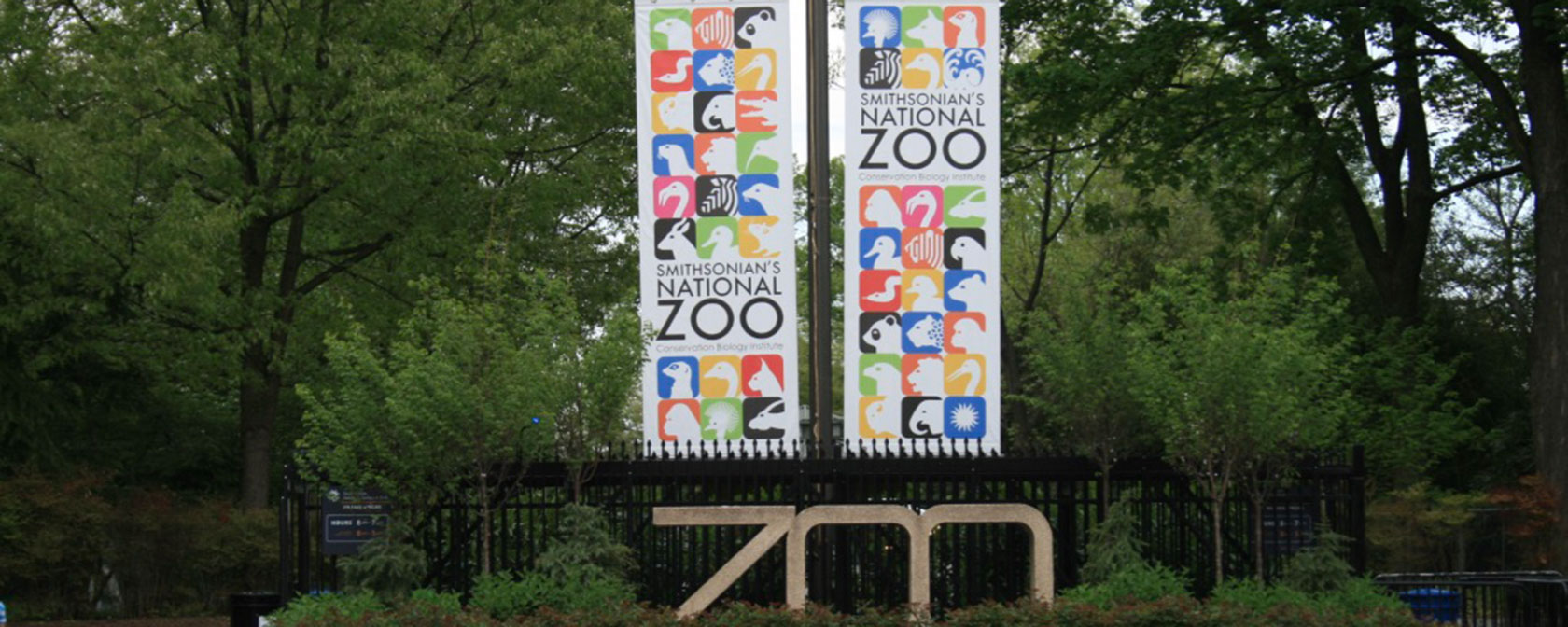 national zoo visit