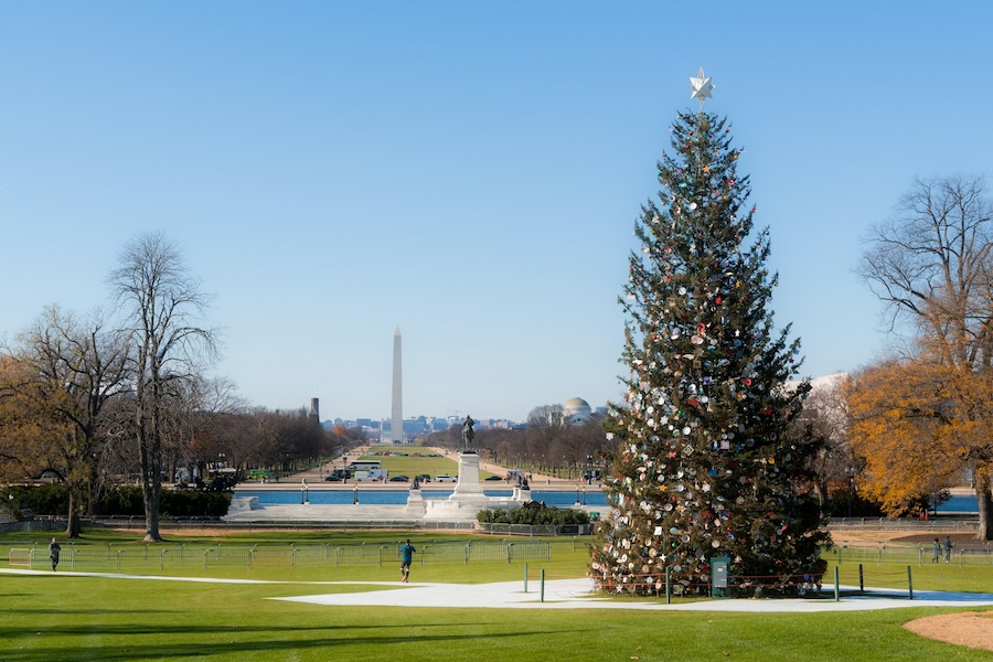 Washington Monument seen in the distance, with a large Christmas tree decorated in front along the National Mall.