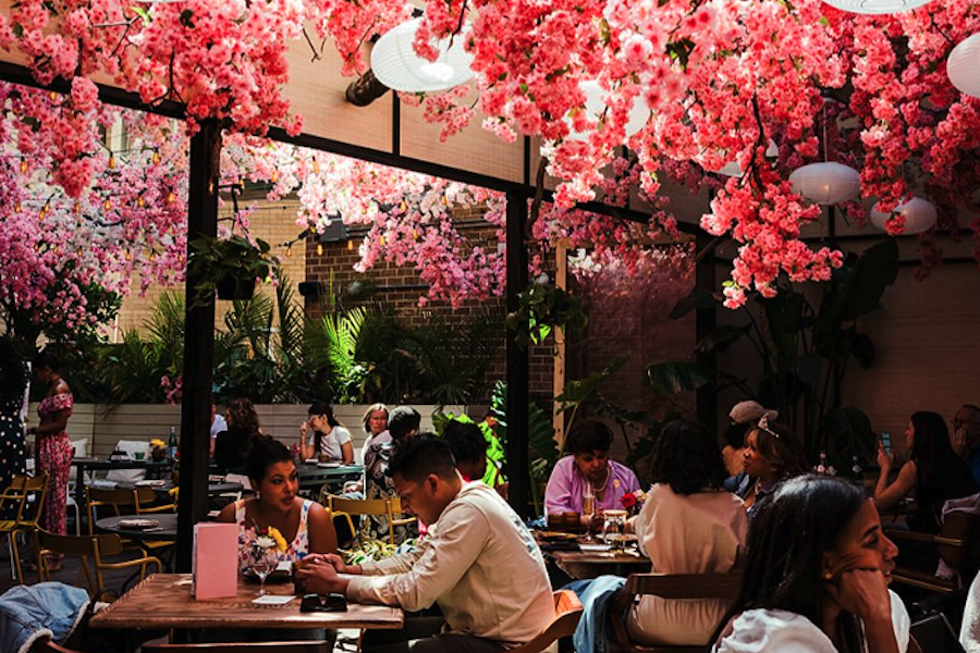 Diners enjoy a meal in a lush, floral-adorned patio with pink blossoms hanging from the ceiling.