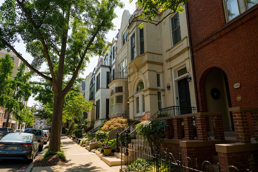 A tree-lined street with historic row homes.