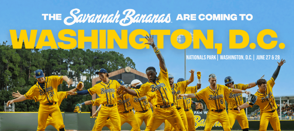 Graphic for The Savannah Bananas 