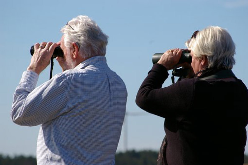 Bird watchers at Roaches Run Waterfowl Sanctuary in Arlington - Outdoor things to do in Virginia near the waterfront