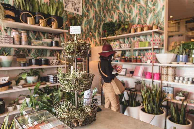 Little Leaf Plant Shop at Union Market - Places to Shop in Washington, DC