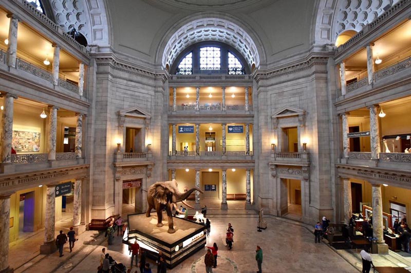 @michellefortephotography - Atrium du Smithsonian National Museum of Natural History sur le National Mall - Musée gratuit à Washington, DC