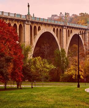 Revel in Nature at Rock Creek Park in DC | Washington DC