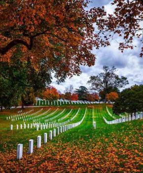 @tomberrigan - Fall foliage at Arlington National Cemetery - Important sites to see at Arlington National Cemetery