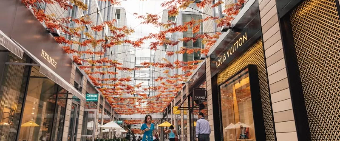 Fall Installation at Palmer Alley in CityCenterDC - Where to Shop in Washington, DC