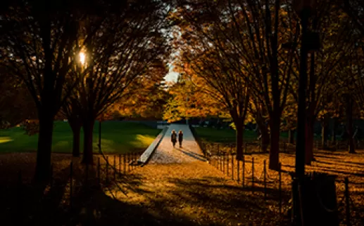 National Mall in Fall
