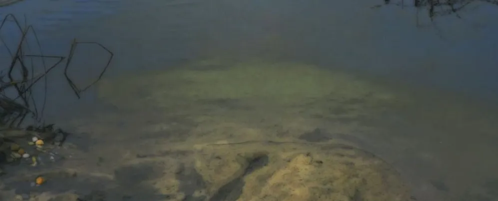 'Peter Campus: There Somewhere' at The Phillips Collection