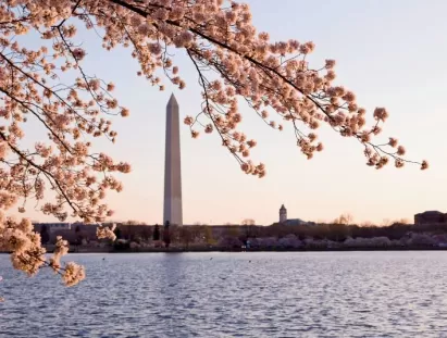washington dc