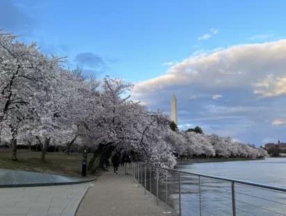 washington dc
